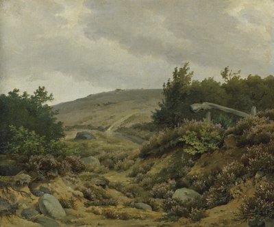 Op de hei door Marcus Johann Haeselich